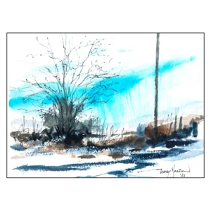 'Moorland: After the Rain II'