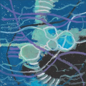'Shoreline 05 25/1'