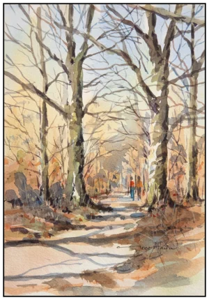 'Woodland Walk, Rivington'.